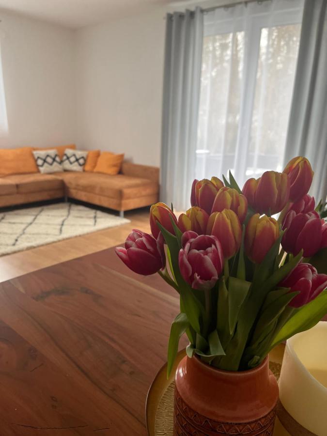 Ferienwohnung Natur Apartment